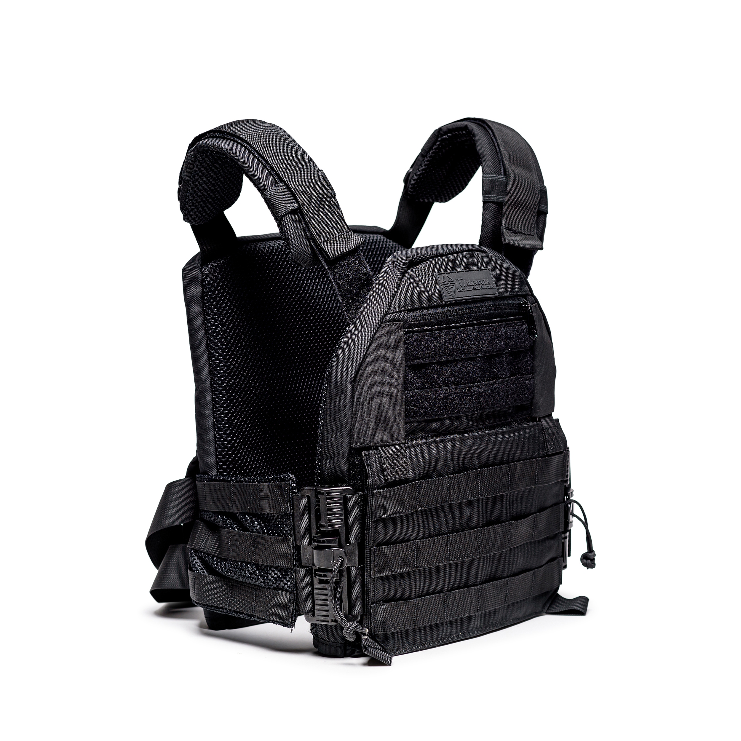 טרנטולה ינואר (292)