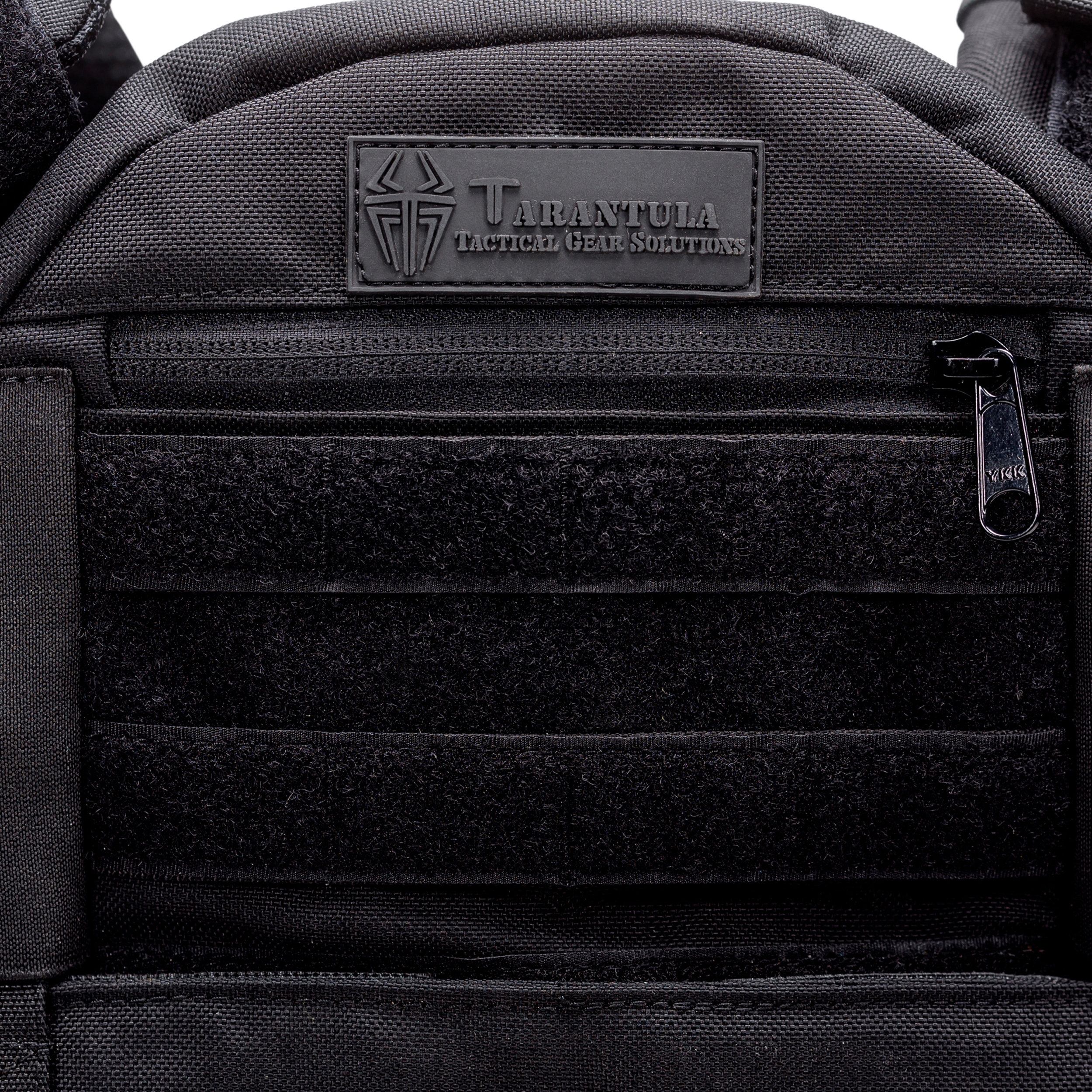 טרנטולה ינואר (336)