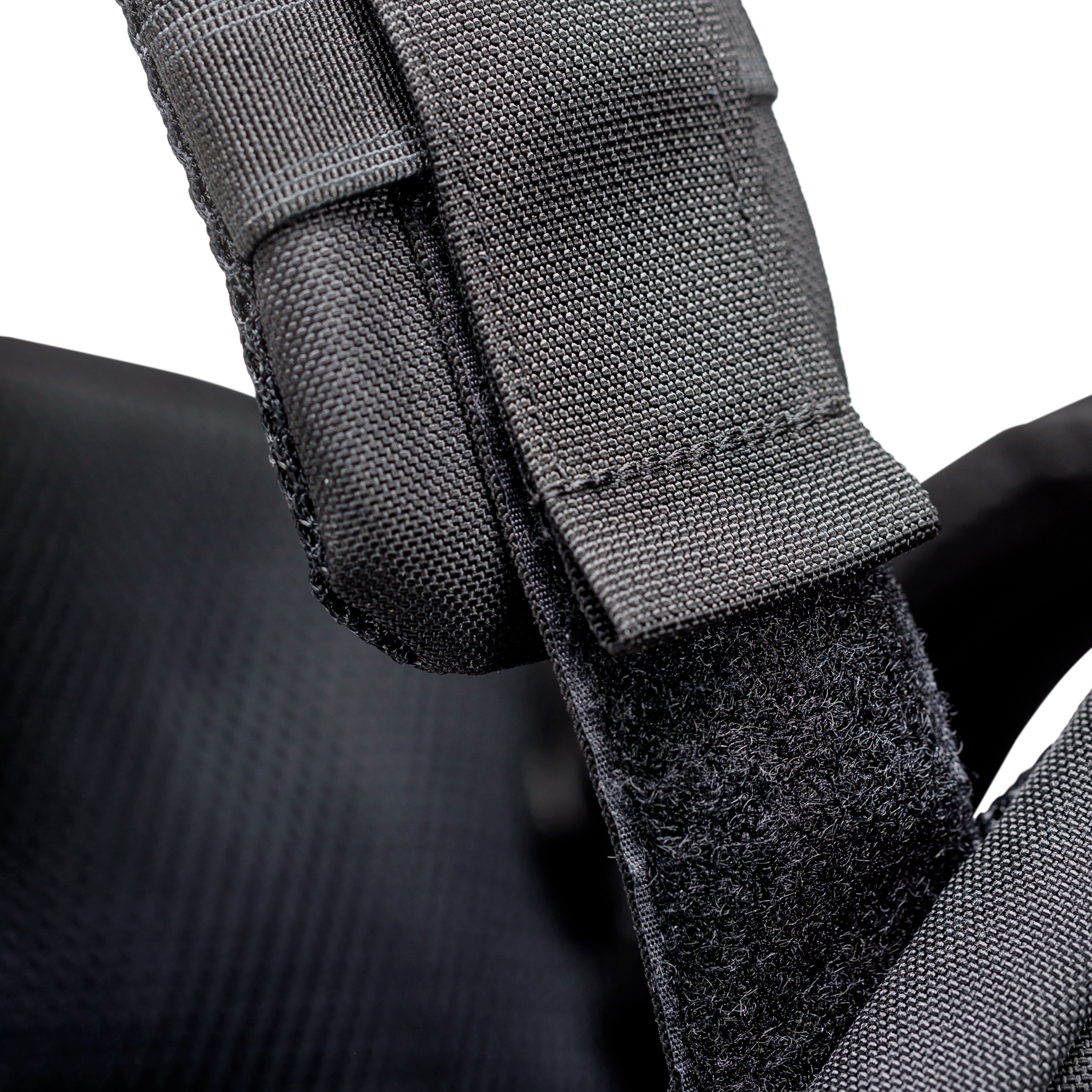 טרנטולה ינואר (345)